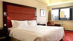 大连九州华美达大酒店标准间(大床)-1_vt 标准间(大床)-1_vt