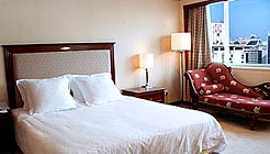 深圳海燕大酒店商务套+ 商务套+