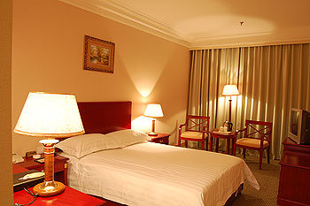 郑州龙都大酒店豪华单人间 豪华单人间