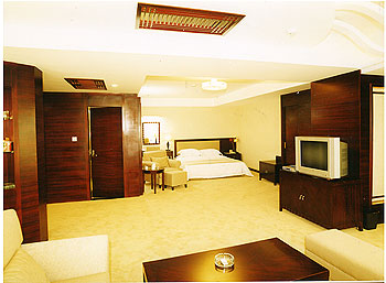 淄博世纪大酒店世纪套房 世纪套房