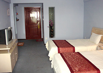 成都自由时酒店豪华标间 豪华标间