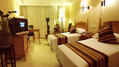 攀枝花泰隆商务酒店标准间+ 标准间+