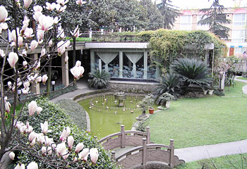 成都花园饭店酒店环境 酒店环境