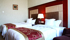 沈阳辽宁天都饭店豪华A标2_vt 豪华A标2_vt