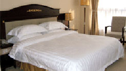 淄博风景华庭商务酒店大床 大床