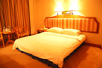 漯河金港大酒店大床房 大床房