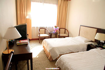 成都心族宾馆普通标准间 普通标准间