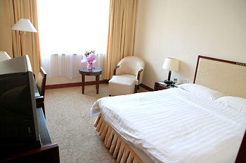 成都心族宾馆商务单人间 商务单人间