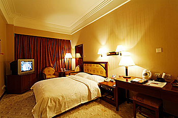 丹东瑞心国际中联酒店单人房 单人房