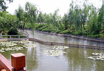 苏州清澄绿洲商务会馆酒店环境 酒店环境