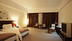 东莞天域大酒店客房 客房