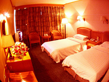 洛阳神都大厦豪华标间 豪华标间