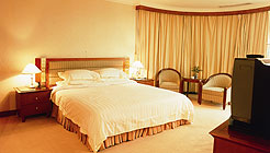 东莞文华大酒店豪华单人房 豪华单人房