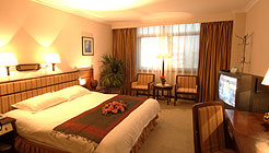 昆明锦大酒店单人间 单人间