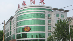 淄博豪森俪客假日酒店外观 外观