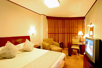 绍兴越都大酒店大床房 大床房