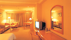 保定中银大厦(嘉柏酒店)标间 标间