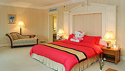 大连中山大酒店行政商务间1 行政商务间1