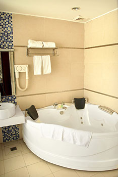 成都中天.玉麒麟酒店豪华单间-卫生间 豪华单间-卫生间