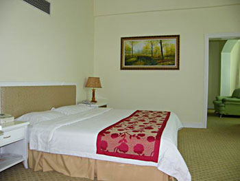 郑州河南龙门大酒店客房 客房