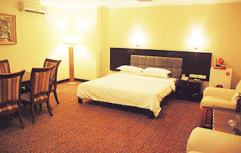 广州南美元生态休闲大酒店商务房 商务房