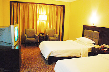 广州南美元生态休闲大酒店标准双人房 标准双人房