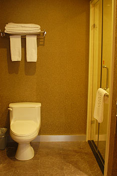 营口辽宁营口财富·唐酒店卫生间 卫生间