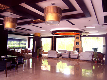 安吉(湖州)安吉中南百草园度假酒店大堂 大堂