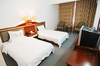 百色广西百色靖西壮锦大酒店豪华间 豪华间