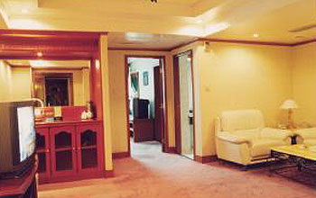 岳阳汉森宾馆豪华单人套房 豪华单人套房