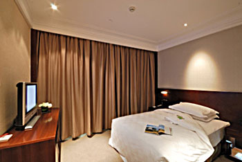 西宁神旺大酒店精致客房 精致客房