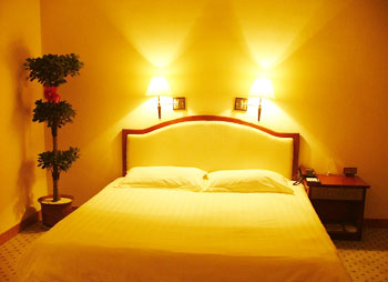 郑州河南农大桃李园大酒店单人间 单人间