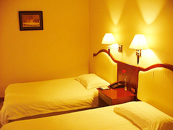 郑州河南农大桃李园大酒店豪华标准间 豪华标准间