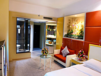 昆明天柏酒店公寓(新纪元店)豪华大床房 豪华大床房