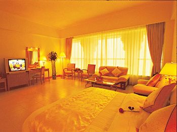 阳江紫光大酒店单人房 单人房