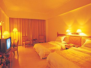 阳江紫光大酒店双人房 双人房