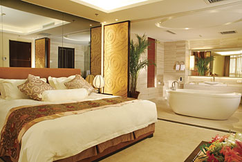 营口熊岳天沐温泉度假村VIP客房 VIP客房