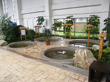 营口熊岳天沐温泉度假村温泉 温泉