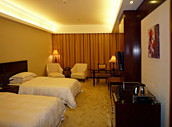 广州逸丰酒店豪华双人房 豪华双人房