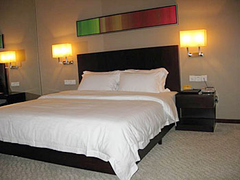 阳江名典商旅酒店豪华单人房 豪华单人房