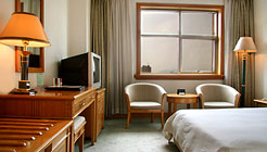 杭州浙江文源宾馆(杭州)大床间 大床间