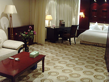 酒泉市世纪大酒店豪华单间 豪华单间