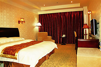 拉萨西藏拉威国际酒店(拉萨)豪华间 豪华间