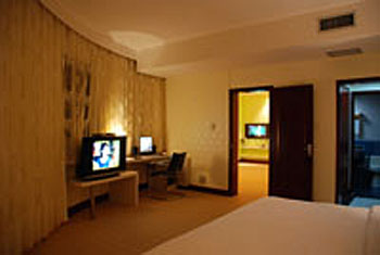 百色中天大酒店套房 套房