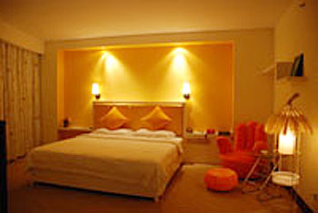 百色中天大酒店豪华个性房 豪华个性房