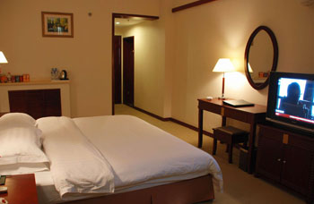 漯河君悦民族饭店豪华单人房 豪华单人房