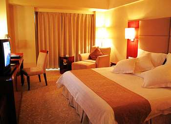 营口港丰大酒店标准单人间 标准单人间