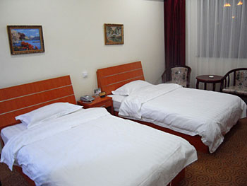 天津凯德林假日酒店标准双人间 标准双人间