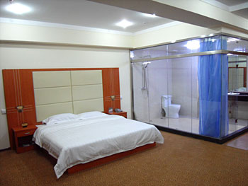 天津凯德林假日酒店豪华商务房 豪华商务房