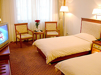 天水金色阳光饭店标准间 标准间